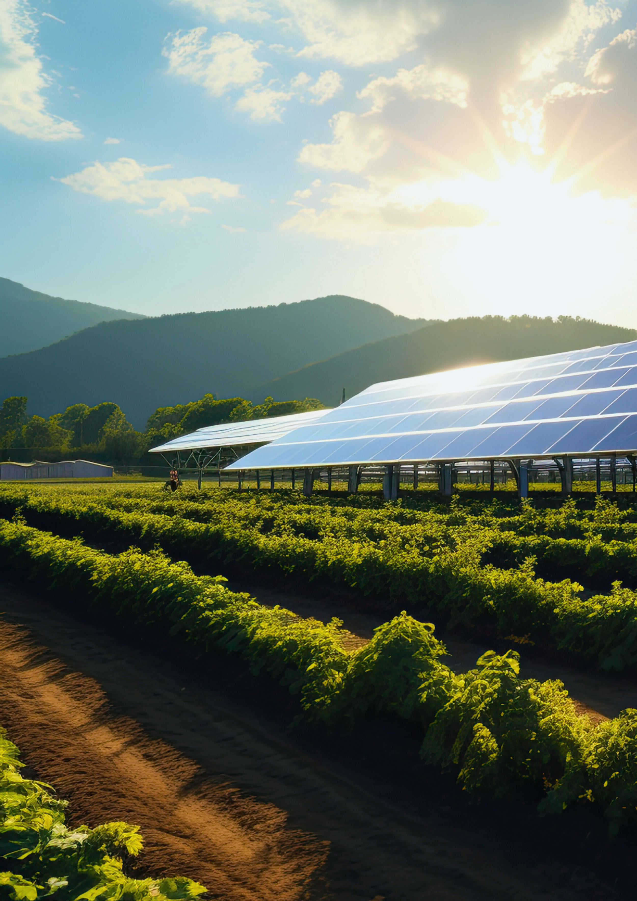 Copy of The Case for Investing in Solar PV Infrastructure in 2025